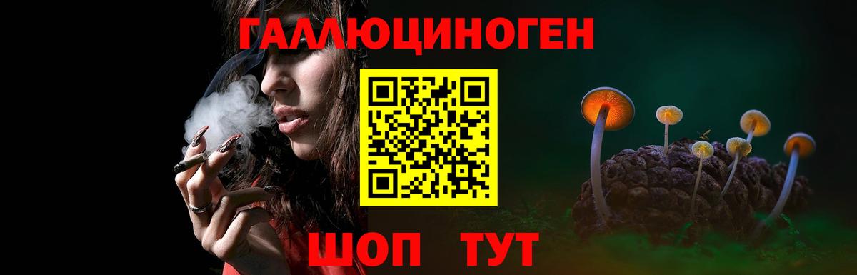 Псилоцибиновые грибы Magic Shrooms  Вход с VPN  Солнечногорск 